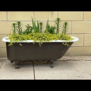 Meet your Posher, Eugenia